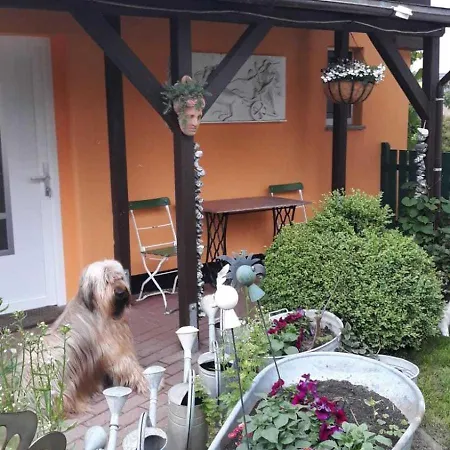 Schinderling Gm 69816