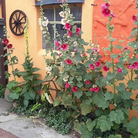 Schinderling Gm 69816 펜션 *